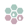 Niacinamide + Hyaluronic Acid